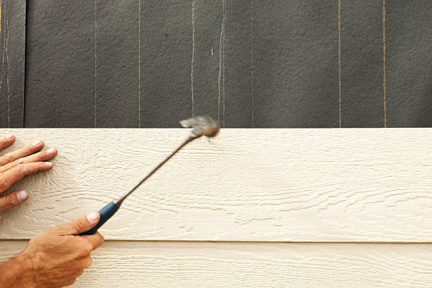 Best Stucco Siding  in Missouri Valley, IA