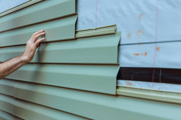 Best Brick Veneer Siding  in Missouri Valley, IA